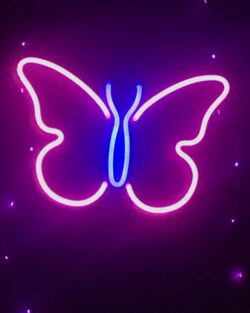 Butterfly Sign Neon Wall Light ( Pink & Blue )