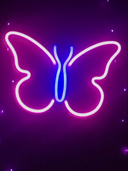 Butterfly Sign Neon Wall Light ( Pink & Blue )